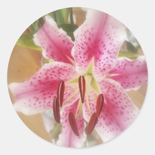 Sticker Rond mensonges stargazers #1 (Devant)