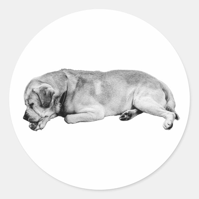 Sticker Rond Mentor Nap (Devant)
