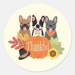 Sticker Rond Merci Bulldogs français Thanksgiving
