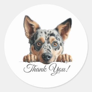 Sticker Rond Merci de chien mignon de bétail australien
