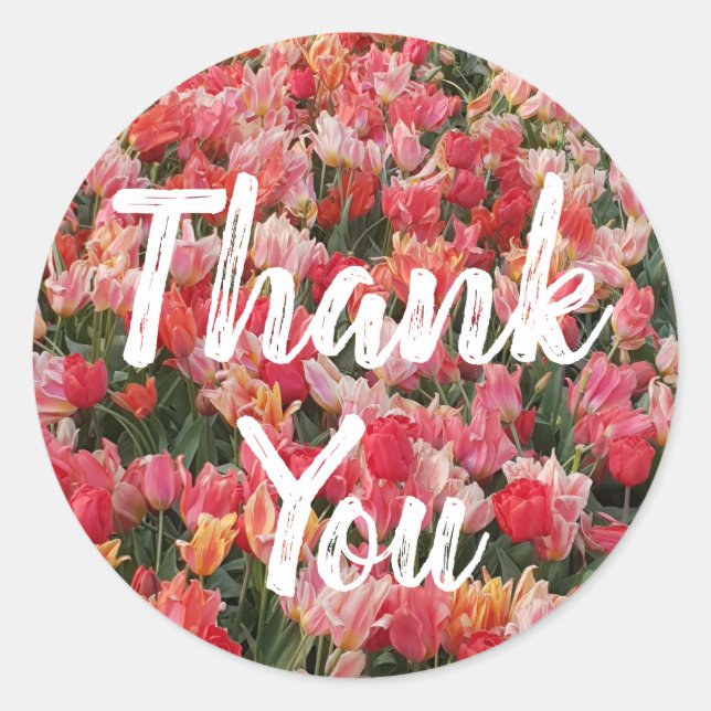 Sticker Rond Merci de jardin rose Tulip (Devant)