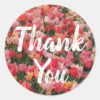 Sticker Rond Merci de jardin rose Tulip
