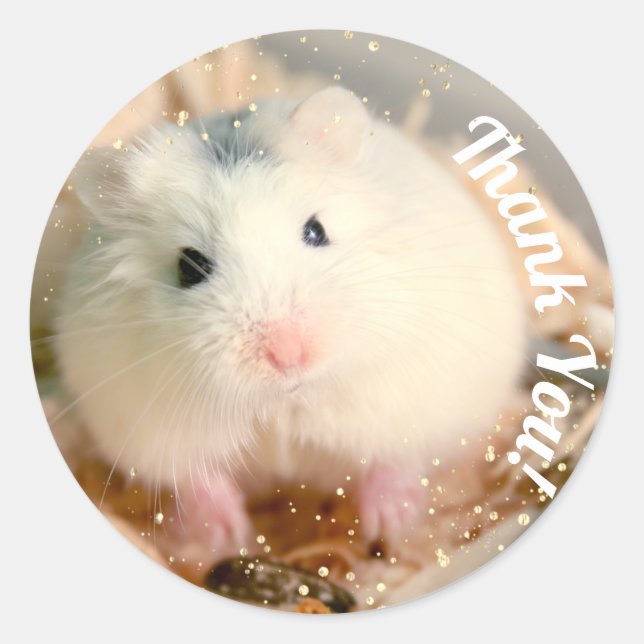 Sticker Rond Merci - Hamster blanc de Hammyville (Devant)