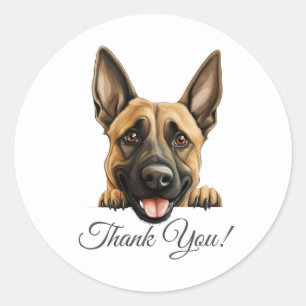 Sticker Rond Merci Malinois de Chien mignon