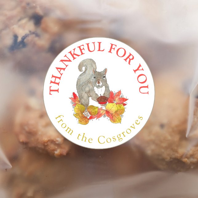 Sticker Rond Merci pour votre écureuil avec la tarte de Pecan (Créateur téléchargé)