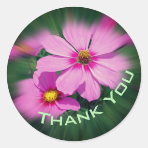 Sticker Rond Merci rose Cosmos