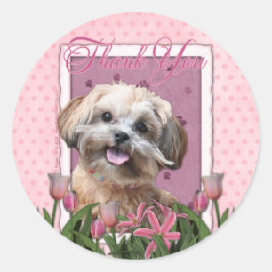 Sticker Rond Merci - tulipes roses - ShihPoo - Maggie