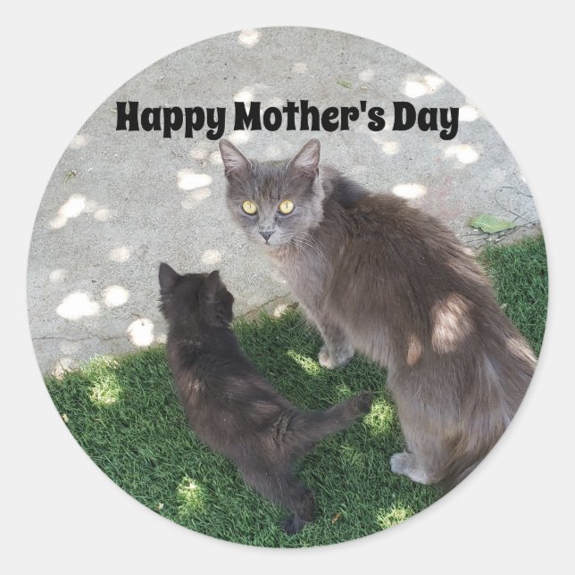 Sticker Rond Mère Chat et Kitten Photo Joyeuse fête des mères (Devant)
