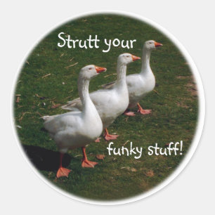 Sticker Rond Mettez vos trucs funky !