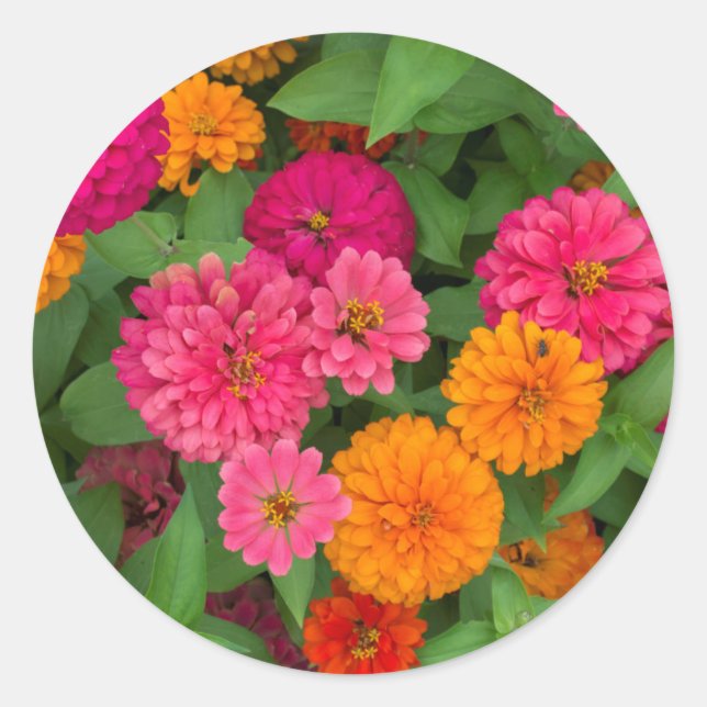 Sticker Rond Michigan, Dearborn, Greenfield Village. De près (Devant)