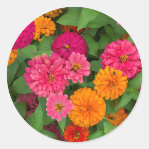 Sticker Rond Michigan, Dearborn, Greenfield Village. Gros plan