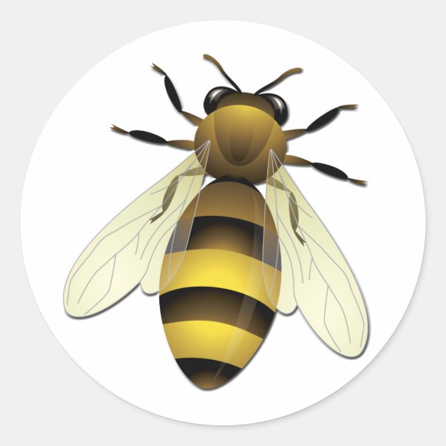 Sticker Rond Miel Bee (Devant)