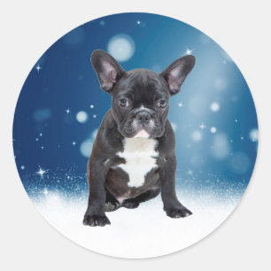 Sticker Rond Mignonne French Bulldog Etoiles de neige Bleu Noël