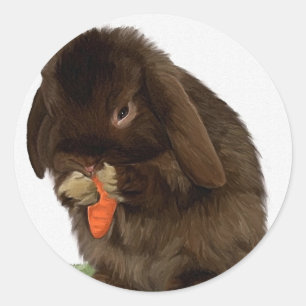 Sticker Rond Mini lapin et carotte de Lop