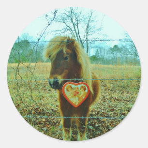 Sticker Rond Miniature cheval Brown Valentine Heart