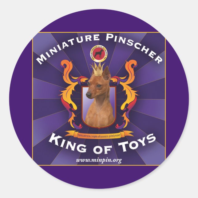 Sticker Rond Miniature Pinscher, roi des jouets (Devant)