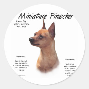 Sticker Rond Miniature Pinscher (rouge)