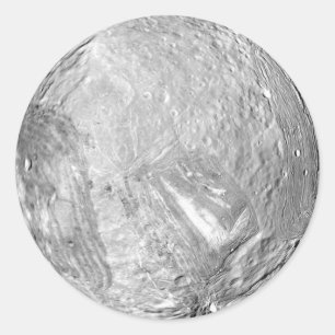 Sticker Rond Miranda