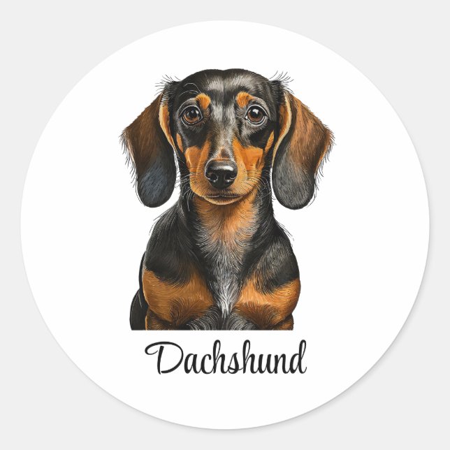 Sticker Rond Modèle chien Dachshund (Devant)