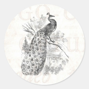 Sticker Rond Modèle d'illustration Retro Peacock vintage des an