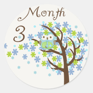 Sticker Rond Mois 3 d'étape importante de hibou d'arbre