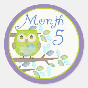 Sticker Rond Mois 5 d'étape importante de hibou d'arbre