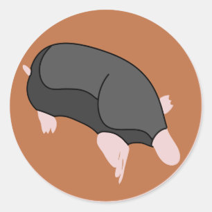 STICKER ROND MOLE1