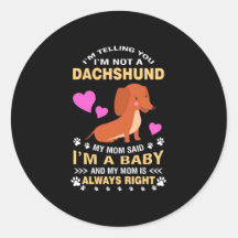 Mon Dachshund Est Mon Bébé