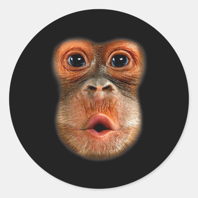 Sticker Rond Monkey Stomach Funny Meme Cool Viral Video  (Devant)