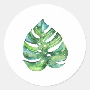 Sticker Rond Monstera feuille autocollant, aquarelle tropicale 