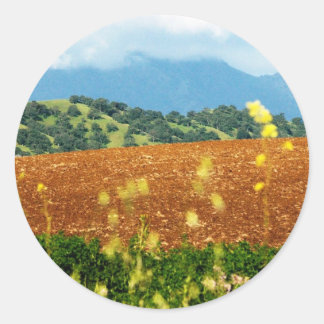 Sticker Rond Mont Diablo