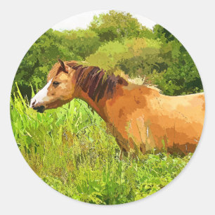 STICKER ROND MONTAGNE CHAUDE PONY