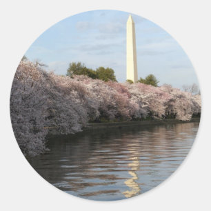 Sticker Rond Monument de Washington de fleurs de cerisier