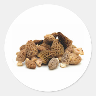 Sticker Rond Morel Mushroom