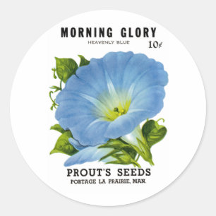 Sticker Rond Morning Glory Vintage Seed Packet