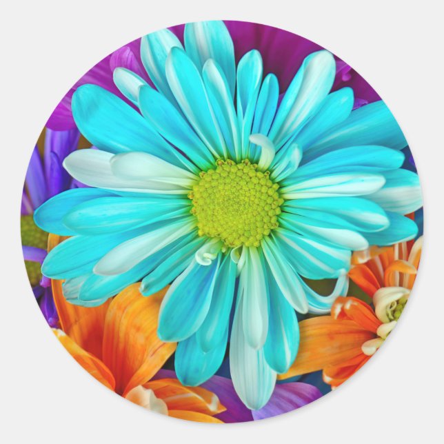 Sticker Rond Motif Big Daisy (Devant)