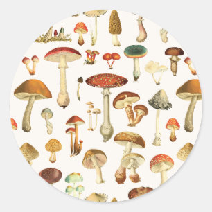 Sticker Rond Motif de champignons vintages