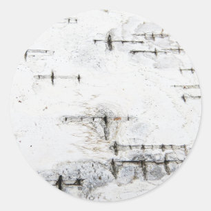 Sticker Rond Motif d'écorce de bouleau