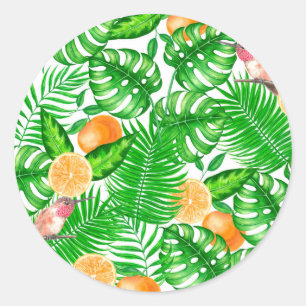 Sticker Rond Motif tropical, colibris II