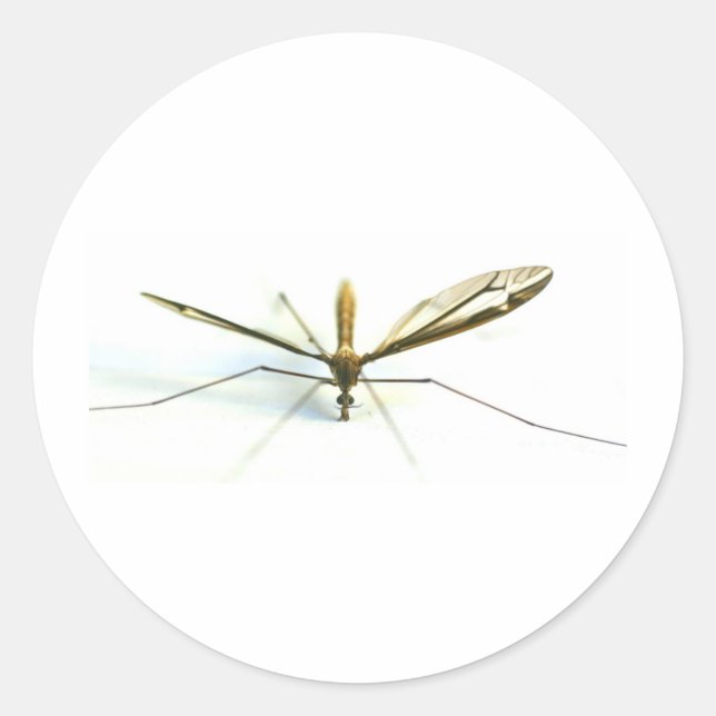 Sticker Rond moustique (Devant)
