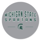 MSU Pennant | Michigan State University 4