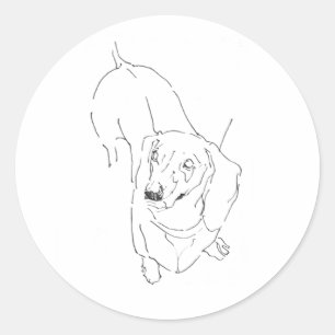 Sticker Rond Muguet Chien Sausage Mignon – Dessin au Trait Doxi