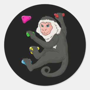 Sticker Rond Mur de grimpe en bloc pour singe capucin 