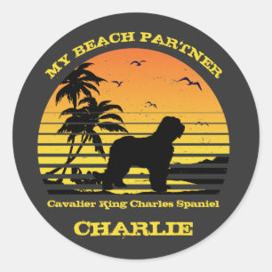 Sticker Rond My Beach Partner Cavalier roi charles spaniel