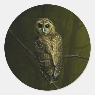 Sticker Rond Mystique Owl