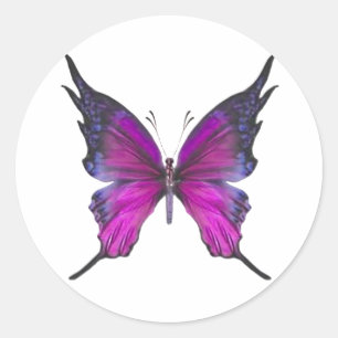 Sticker Rond Mythe de printemps 3