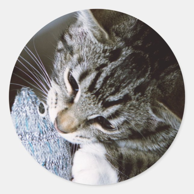 Sticker Rond nancy avec souris (Devant)