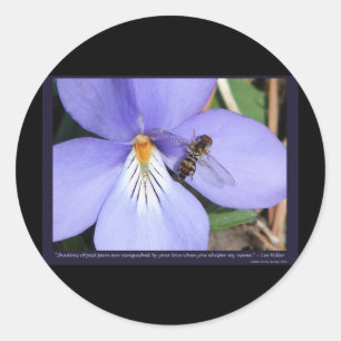 Sticker Rond Nature De La Violette Inséparable-Pied