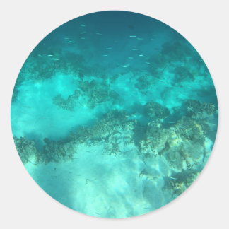 Sticker Rond Nature sous-marine
