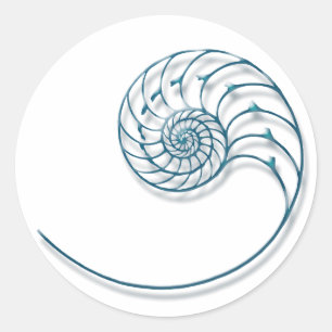 Sticker Rond Nautilus 2